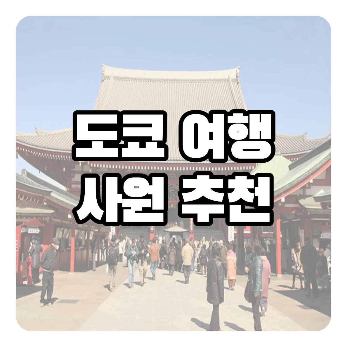 도쿄 사원 추천