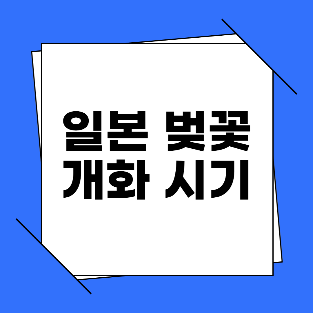 2025년 국내 일본 벚꽃 시기