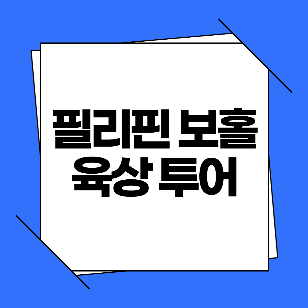 필리핀 보홀육상투어