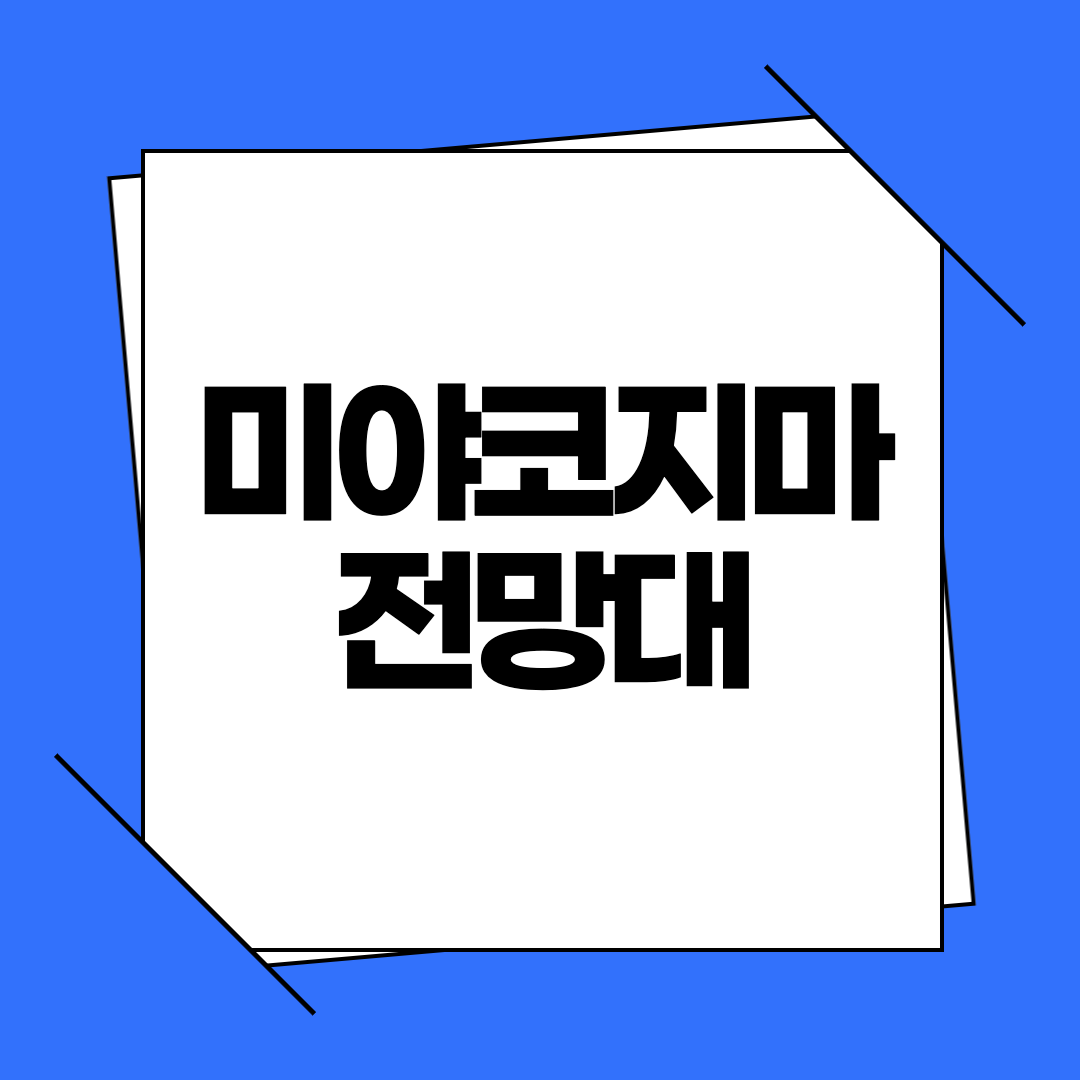 미야코지마 전망대