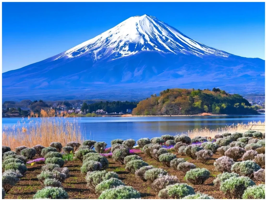 가와구치코 오이시 공원