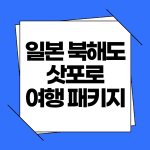 일본 북해도 삿포로 여행 패키지