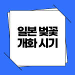 일본 벚꽃 개화 시기