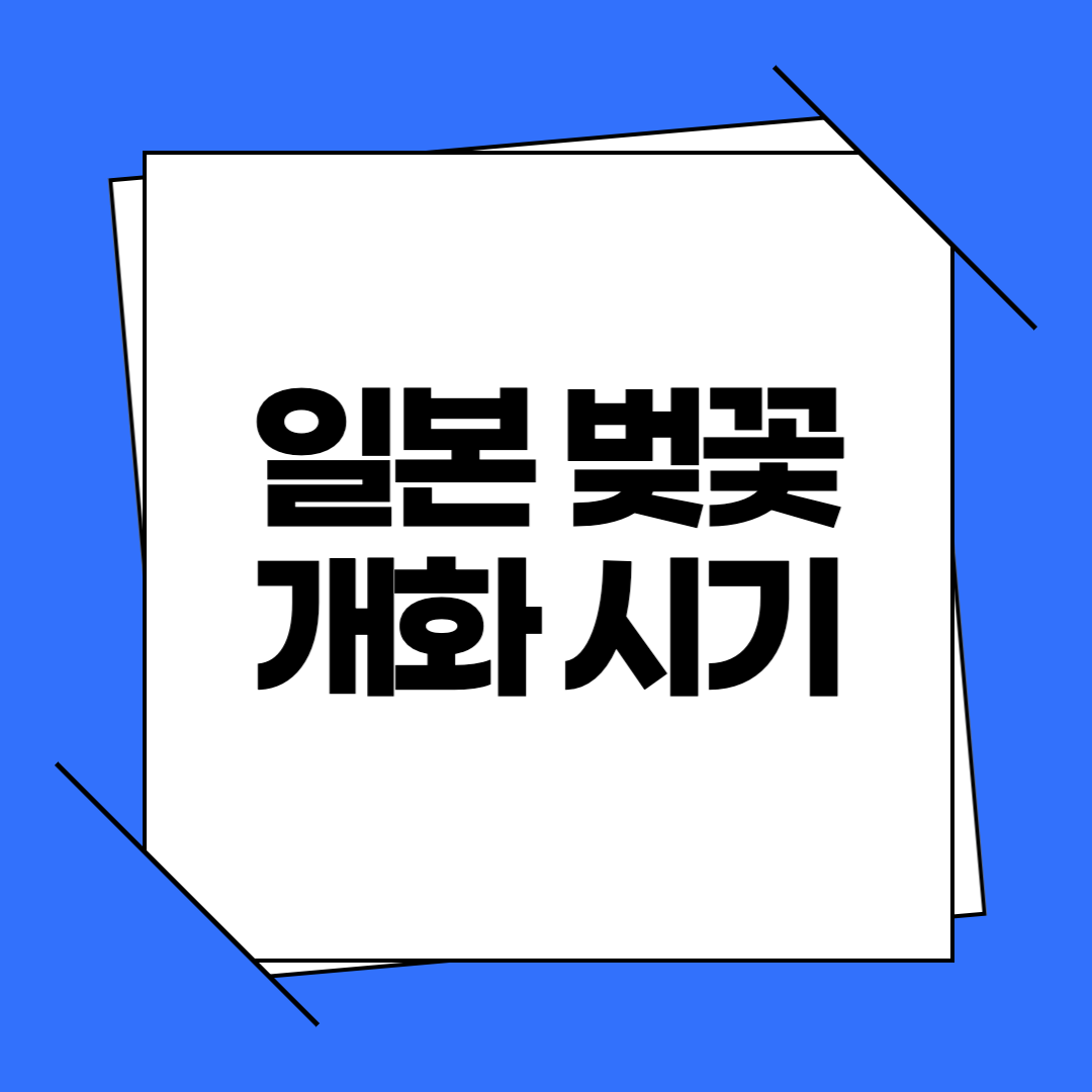 일본 벚꽃 개화 시기