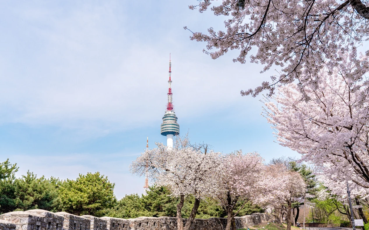 N서울타워 시설 전경, 클룩 상품 페이지 제공